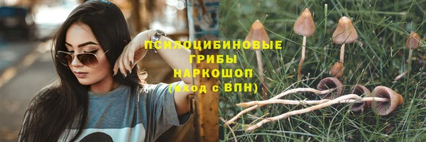 каннабис Арсеньев